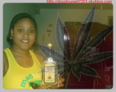 Alcoolo_nou